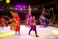 Цирк Инди Ра, Фото: 64