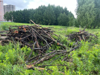 Туляк собрал единомышленников, чтобы очистить парк Обороны в Мясново, Фото: 3
