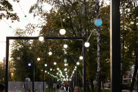 Кимовск-Донской-Новомосковск-Узловая, Фото: 33