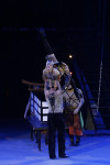 В Тульском цирке прошла премьера аква-шоу, Фото: 24