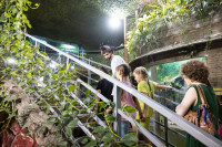 Иммерсивный спектакль Мюсли, Фото: 31