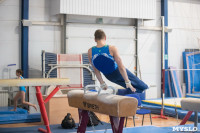 Тульский гимнаст Иван Шестаков, Фото: 4