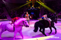 Цирковое шоу Жар птица, Фото: 135