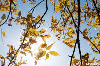Золотая осень по-тульски, Фото: 139