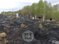 Сгоревшее кладбище в Алексине, Фото: 32
