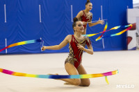 В Туле стартовало первенство Центрального федерального округа по художественной гимнастике, Фото: 18