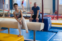 Мужская спортивная гимнастика в Туле, Фото: 2