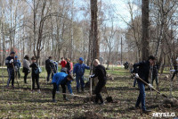Посадка деревьев в Комсомольском парке, Фото: 35