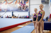 Соревнования по спортивной гимнастике, Фото: 2