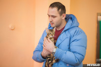 В Туле прошла выставка «Пряничные кошки» , Фото: 8