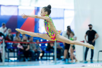 Тула провела крупный турнир по художественной гимнастике, Фото: 47
