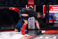 В «Тула-Арене» состоялись областные соревнования по ММА, Фото: 86