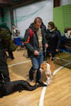 В Туле прошла выставка собак всех пород, Фото: 80