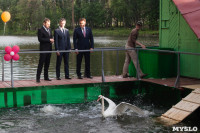 Запуск лебедей в верхний пруд Центрального парка Тулы, Фото: 19