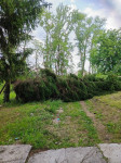 Ураган в Богучарово, Фото: 2
