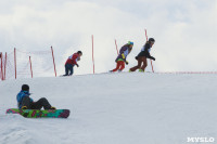 "Весенний Загар-2015" (горные лыжи, сноуборд), Фото: 12