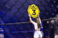 Битва за Тулу-2026, Фото: 159