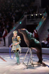 Успейте посмотреть шоу «Новогодние приключения домовенка Кузи» в Тульском цирке, Фото: 140