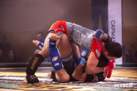 Турнир по ММА памяти Алексея Калинина собрал лучших бойцов страны: фоторепортаж, Фото: 50