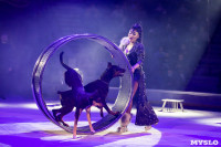 Премьера новогоднего шоу в Тульском цирке, Фото: 87