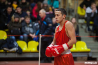 Турнир по боксу «Гран-при Тулы», Фото: 19