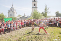 В Тульской области прошел фестиваль крапивы, Фото: 250