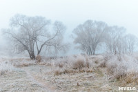Ледяное утро в Центральном парке, Фото: 7