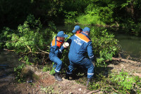 Спасатели приступили к расчистке берегов реки Воронки в Туле: фото, Фото: 18