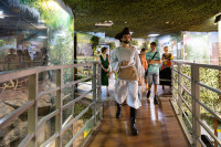 Иммерсивный спектакль Мюсли, Фото: 41