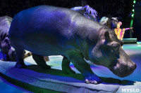 Грандиозное цирковое шоу «Песчаная сказка» впервые в Туле!, Фото: 34