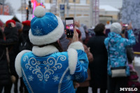 На площади Ленина в Туле открылась новогодняя ярмарка , Фото: 9