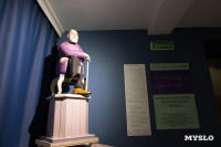 Диковинные «Антики» уже в Туле: в Нимфозориуме открылась выставка об «археологии повседневности», Фото: 37