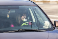 «Цветочный патруль — 2026», Фото: 89