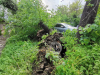 Упало дерево на машины, Фото: 14