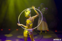 Шоу фонтанов «13 месяцев» в Тульском цирке – подарите себе и близким путевку в сказку!, Фото: 46