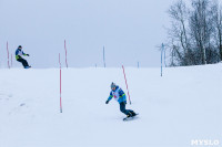 I-й этап Кубка Тулы по горным лыжам и сноуборду., Фото: 38
