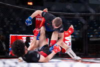 В «Тула-Арене» состоялись областные соревнования по ММА, Фото: 142