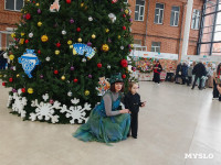 Фестиваль «Шар-папье»: Тульский кремль украсили огромные новогодние бусы, Фото: 22