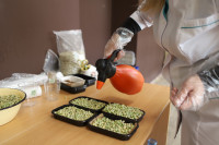 Елена Киеня выращивает микрозелень, Фото: 24