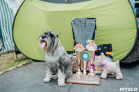 Всероссийская выставка собак в Туле, Фото: 66