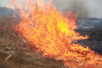 Возгорание сухой травы напротив ТЦ "Метро", 7.04.2014, Фото: 9