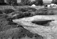 Какой была тульская земля несколько тысячелетий назад?, Фото: 2