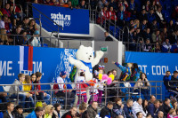 Женский хоккейный матч Канада-Финляндия. Зимняя Олимпиада в Сочи, Фото: 9