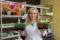 Елена Киеня выращивает микрозелень, Фото: 33