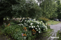 Цветник на проспекте Ленина, 147, Фото: 23