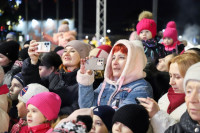 Глава администрации Тулы Илья Беспалов: «Загадывайте желания под нашей новой красавицей-ёлкой», Фото: 21