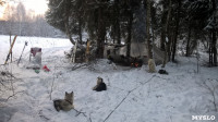 Зимний поход с собаками, Фото: 40