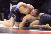 Битва за Тулу-2026, Фото: 234