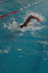 Открытые чемпионат и первенство Тульской области по плаванию на короткой воде, Фото: 1