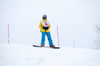 I-й этап Кубка Тулы по горным лыжам и сноуборду., Фото: 59
